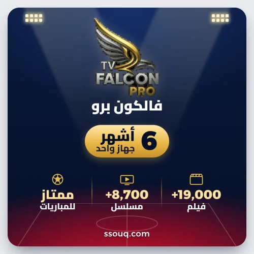 ٦ أشهر