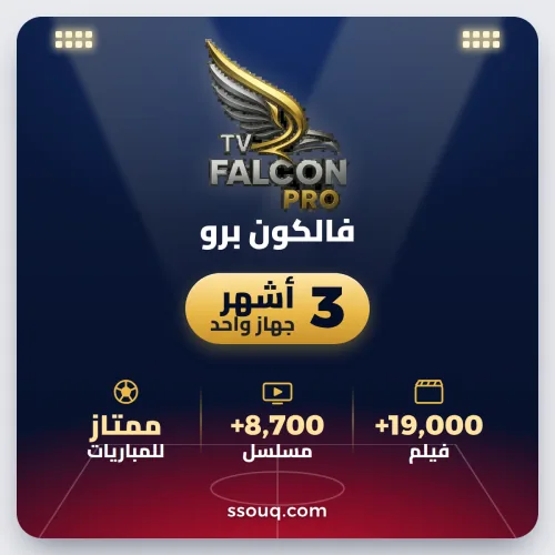 ٣ أشهر