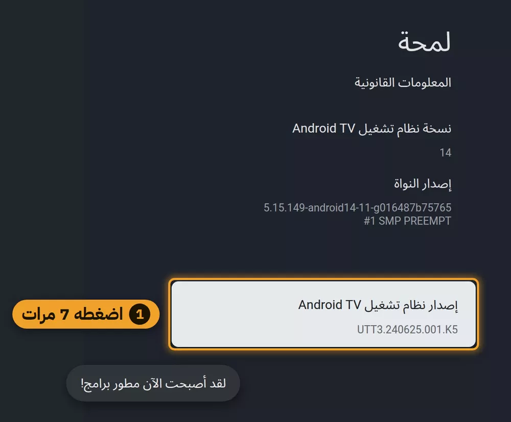 صفحة لمحة في إعدادات Google TV: إصدار نظام تشغيل Android TV ورسالة لقد أصبحت الآن مطور برامج